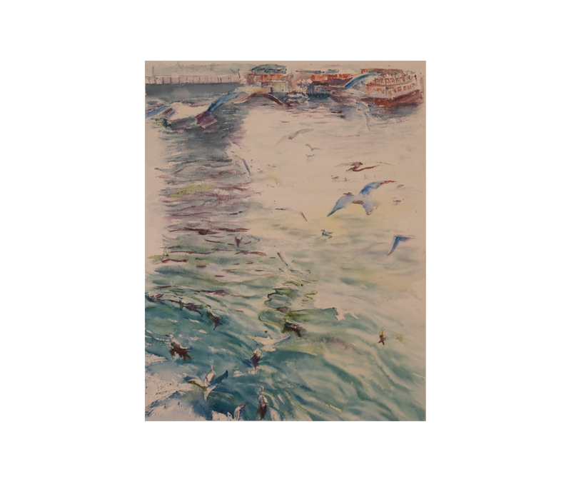 harbor gulls: soft horizon,  10.5 x 13.5 Inches (unframed), 2026